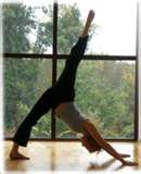 downward dog leg lift